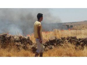 Mardin’de 6 bin dönümlük anız yangını