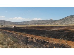 Korkuteli’nde anız ve ekin yangını