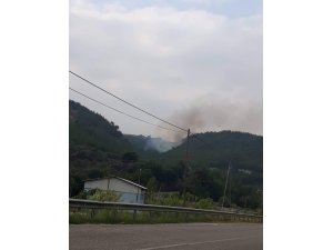 Osmaniye’de orman yangını