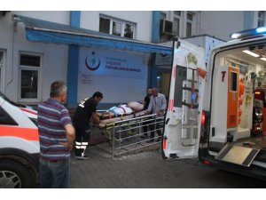 Ayı saldırısında köpeği kurtardı