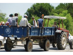 Traktör kasasında tehlikeli yolculuk