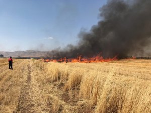 Mardin’de anız yangını