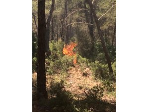 GÜNCELLEME - İzmir'de orman yangını