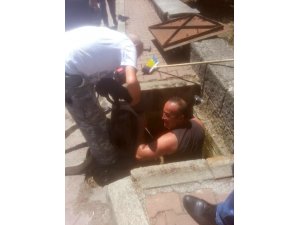 Kanalizasyona düşen yavru köpeği itfaiye kurtardı