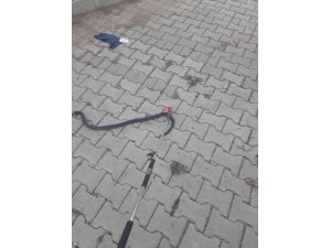 Eve giren yılanı itfaiye yakaladı