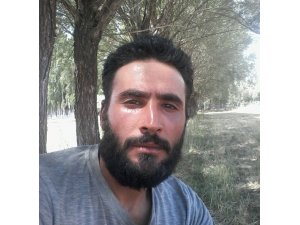 Sivas’ta kene ölüme neden oldu