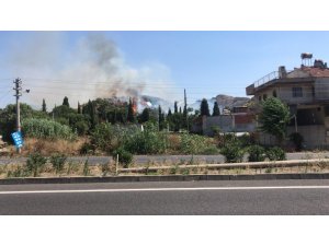 Manisa’da orman yangını