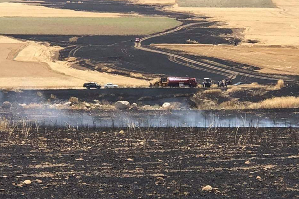 Konya'da ekili arazide yangın: 10 BİN DEKARLIK ALAN YANDI