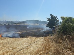 Burhaniye’de anız yangını itfaiye söndürdü