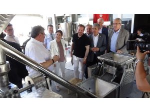 Meclis komisyonu etkin madde üretimi hakkında bilgi aldı