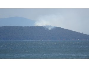 Heybeliada’da yangın paniği