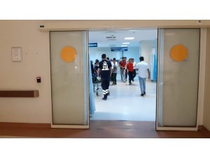 Siirt’te yılanın ısırdığı adam tedavi altına alındı