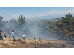 Burhaniye’de orman yangını