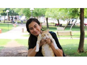 Sokaktaki kedileri besleyen öğretmeni ‘Gösteriş için yapıyorsun’ diyerek darp ettiler