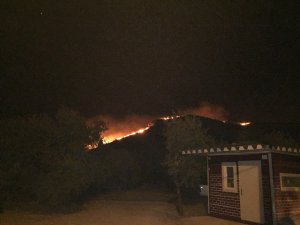 Muğla'daki orman yangını söndürüldü