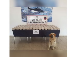 Koyun yüklü kamyonette 101 kilo 213 gram eroin ele geçirildi