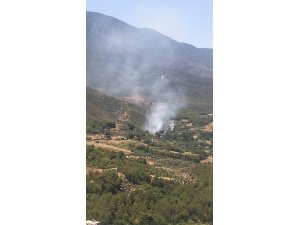 Hatay’da orman yangını