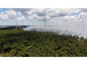 Hasdal’da askeri alandaki ormanda yangın