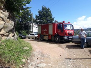 Mantar toplarken uçurumdan düştü