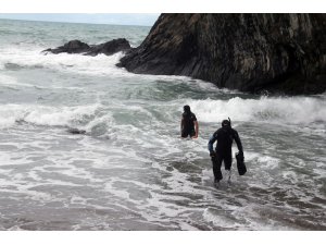 Kayıp öğretmenin köpeği sahilde sahibini bekliyor