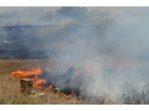 Mahalleli kovaa ve küreklerle yangını durdurmaya çalıştı