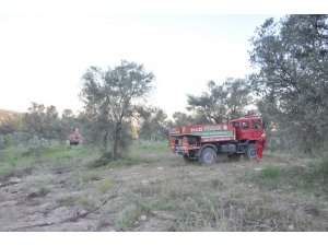 Osmaniye’de orman yangını