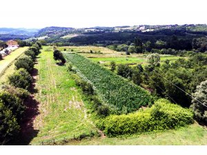 Zonguldak'taki uyuşturucu operasyonu