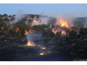 Orman yangını güçlükle kontrol altına alındı