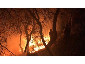 Alevler Neopolis’in gecesini aydınlattı