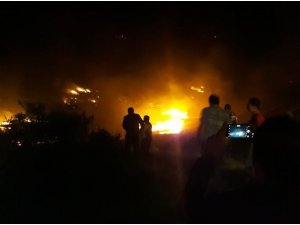 Elazığ’da  orman yangını