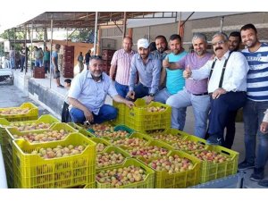Kayısı üreticisi sezonu mutlu bitirdi