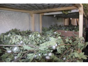 Evinin boş odası 42 günde 3,500 TL kazandırd