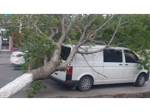 Kars’ta rüzgar aracın üzerine ağaç devirdi