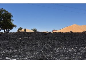 Anız yangını buğday ambarlarına sıçramadan söndürüldü