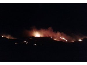 Mardin’de son iki günde 140 yangına müdahale edildi