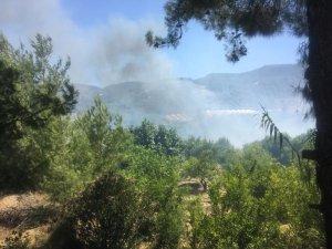 Silifke’de orman yangını çıktı