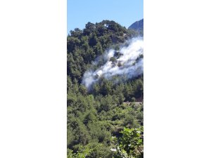 Kozan’da orman yangını