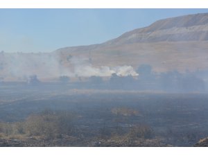 Balıkesir’de 120 dönüm otlak yandı