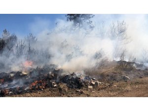 Bursa’da orman yangını