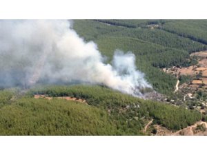 Milas’ta orman yangını