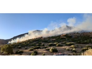 Adana’daki orman yangınını söndürme çalışmaları sürüyor