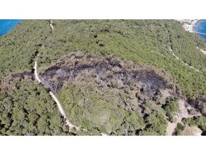 Heybeliada’da ormanda çıkan yangının sebep olduğu zarar havadan görüntülendi