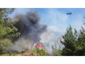 Silifke’de çıkan yangında 4 hektar alan zarar gördü