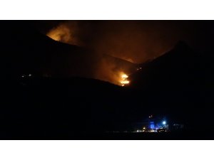 Adana'daki orman yangını