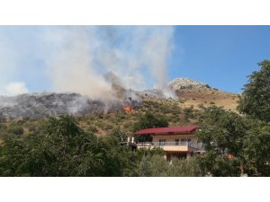 Ceyhan’daki orman yangını kontrol altına alındı