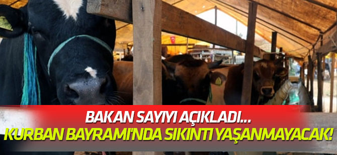 Bakan sayıyı açıkladı... Kurban Bayramı'nda sıkıntı yaşanmayacak!