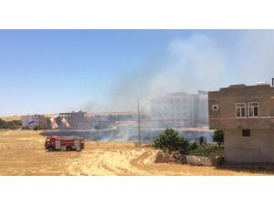 Anız yangını korkuttu