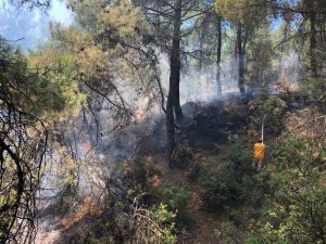 Buldan’da 1 hektar alan kül oldu