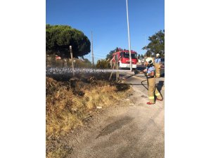 Burhaniye’de ot yangını korkuya neden oldu