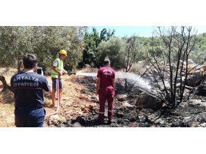 Kaş’ta makilik alanda yangın